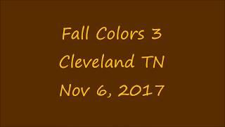 Fall Colors 3  11/06/17