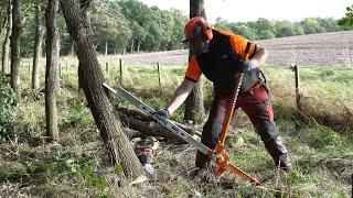 The SAFEST Way to Fell a Tree: Forest Master 3-In-1 Felling Lever (FM3-LP)