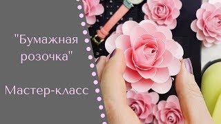 Мастер-класс по сборке бумажных розочек