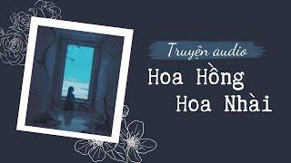 [ Truyện audio ] - Hoa Hồng Hoa Nhài - Zhihu | Mèo không đen