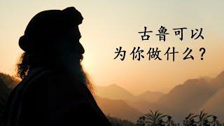 古鲁对一个人灵性修行的意义？| Sadhguru 萨古鲁