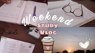 Weekend Study Vlog||12 grader ||CBSE || Anshika