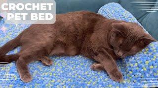 Crochet a Comfy Pet Bed and Pillow Perfect for Your Furry Friend | Crochet Pet Blanket with Pillow