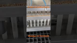 72-hole Tray Seedling Machine - Efficient Plant Nursery Solution#seeding #seeder #seedlingmachine