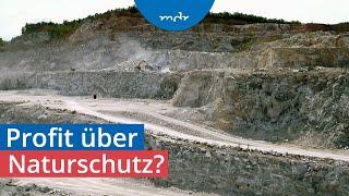 Warum der Gipsabbau im Südharz umstritten ist | Umschau | MDR