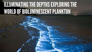 Illuminating the Depths Exploring the World of Bioluminescent Plankton