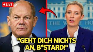 Alice Weidel ZERSTÖRT Olaf Scholz im Live-TV!