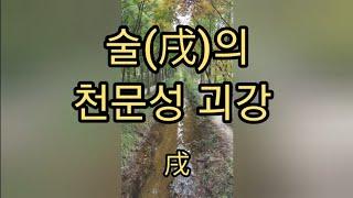 술토의 천문성과 괴강의 특성