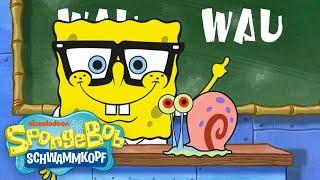 SpongeBob - Bell´ mal WAU (Offizielles Video)