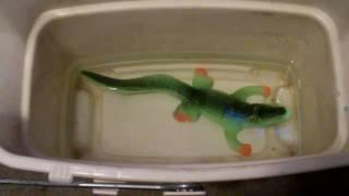 Magic Grow Mega Grow Alligator: Water-Absorbent Toy