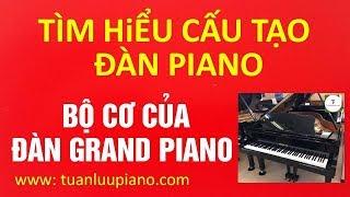  TÌM HIỂU BỘ CƠ BÊN TRONG ĐÀN GRAND PIANO - TUẤN LƯU PIANO