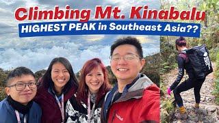 2D1N MOUNT KINABALU Climb (March 2023) ️- FIRST TIME Journey, Experiences + Hiking Package & Tips!