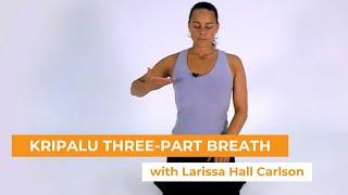 Kripalu Three-Part Breath: Dirgha Pranayama