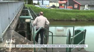 SUIVEZ LE GUIDE : Les marais du Cotentin, un écrin de verdure exceptionnel