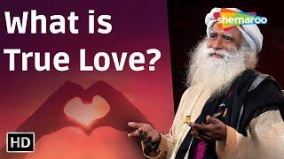 What is the Meaning of True Love | Sadhguru | Shemaroo Spiritual Life