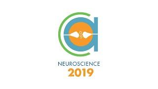 Neuroscience 2019: Discover Your Next Inspiration in Brain Research