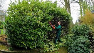 The HOMEOWNER Asked Me To Trim The OVERGROWN Hedge As Much As POSSIBLE