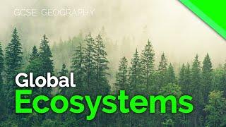 Global Ecosystems / Biomes | AQA GCSE 9-1 Geography