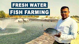 Fresh Water Fish Farming in Saudi Arab