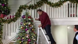 Little Giant Helium 24-in-1 17' Multi- Function Ladder with Wheels on QVC