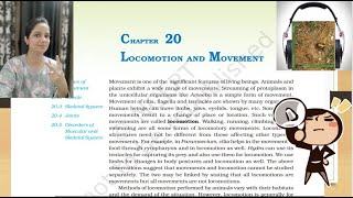 Locomotion and Movement NCERT Reading | NCERT Class11 Biology Audiobook | NCERT Reading |NCERT Audio