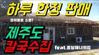 100%예약제로만 운영한다는 제주도 보말칼국수 맛집~!/현지인 가성비 / feat. 종달 해녀의집 /jeju local food restaurants