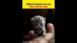 Billi ko dekhte hi ye kaam karo? | Islamic Tornado