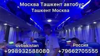 Москва Ташкент автобус прямой рейс 22.05.2023 конуний автобуслар ️