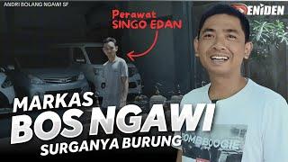 Owner SINGO EDAN Spil isi MARKAS ‼️ BLUSUKAN ke NGAWI SF eps.01