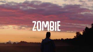 Alan Walker Style || Albert Vishi - Zombie (Lyrics) ft. Ane Flem