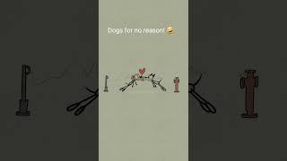 Dogs for no reason!  (4k memes)  #shorts