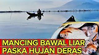 mancing bawal // mancing rawa pening