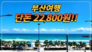 41개 부산여행지를 12시간 동안 단돈 22,800원으로 이용할 수 있는 자유이용권!!