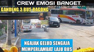 RICUH CREW MARAH‼️ 3 BUS BAGONG BENTROK REBUTAN PENUMPANG