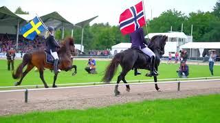 Islandpferde Weltmeisterschaft 2017 / Holland - Oirschot