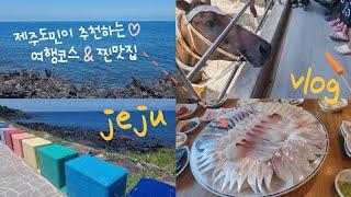 SUB) 제주 가족여행 vlog  제주도현지인추천 2박3일 가족여행코스 로컬 현지 제주공항근처 맛집 횟집 추천 브이로그 jeju island trip vlog