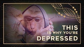 The Evolution of Depression: Why It Exists and What to Do About It