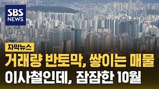 거래량 반토막, 쌓이는 매물… 이사철인데, 잠잠한 10월 (자막뉴스) / SBS