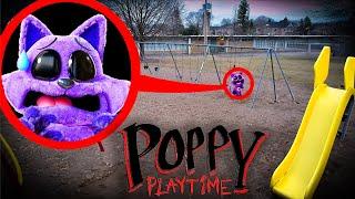 CatNap ليس وحشًا - Cat Nap ينقذنا (Poopy Playtime 3)