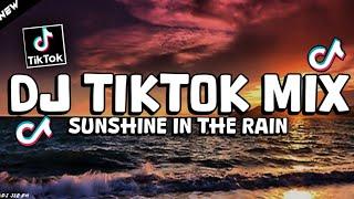 DJ Sunshine in the Rain TikTok Viral 2024 - ( DJ JER PH )