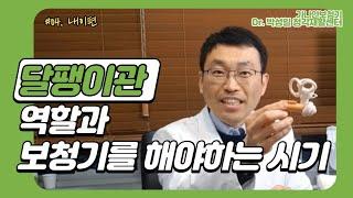 #04. 달팽이관 역할과 보청기를 해야하는 시기/내이편/부산 보청기/무료/지원금/가격/전 세계 보청기/난청/이명/청능재활/박성일 교수님
