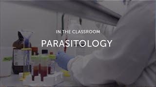 Parasitology Lab