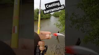 casting barramundi Dan mangrove jack tidak bisa sembarangg!!! harus paham cuaca#pohanpoh #pemancing