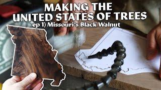 Missouri's Black Walnut | Making the United States out of Native Trees