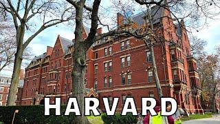 Walking Harvard University & Harvard Square in November 2022