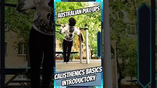 10 Day #Calisthenics basics introductory 2 #workout #streetworkout