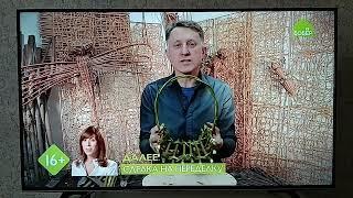 Плашка Сделка на переделку (Бобёр, 24 07 2024)