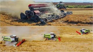  Romania 2024 - / NEXAT / 5x CLAAS Lexion 8800, CLAAS Lexion 770 / FENDT  IDEAL 10T /