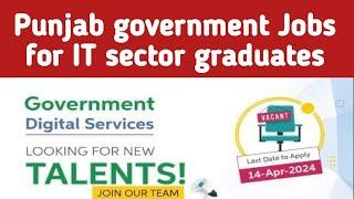 Government Digital services Jobs 2024 | IT Jobs in Lahore Punjab government Jobs 2024