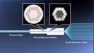 Space-division-multiplexing Technologies for 1Pbit/s Transmission